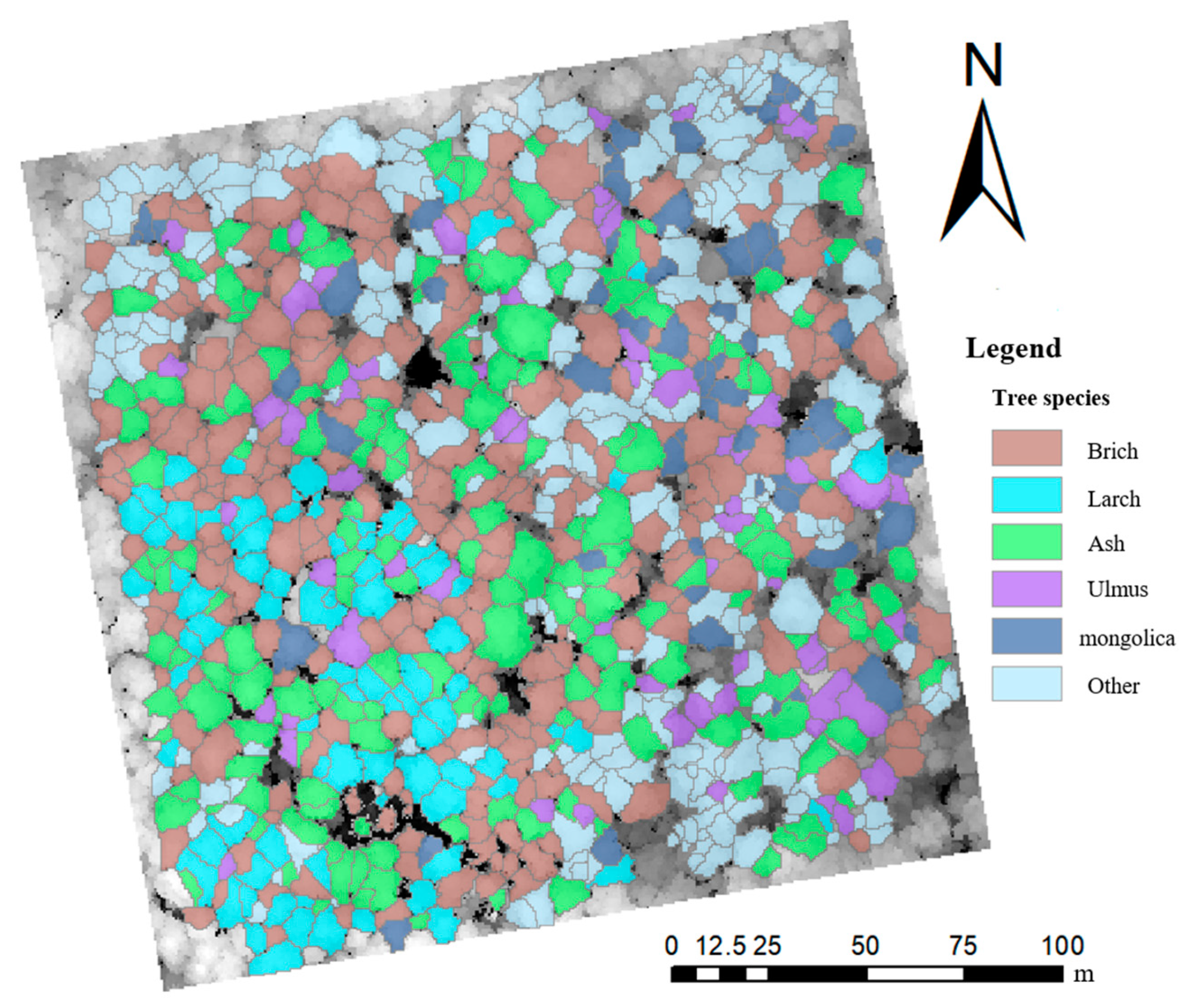 Remotesensing 15 01000 g006
