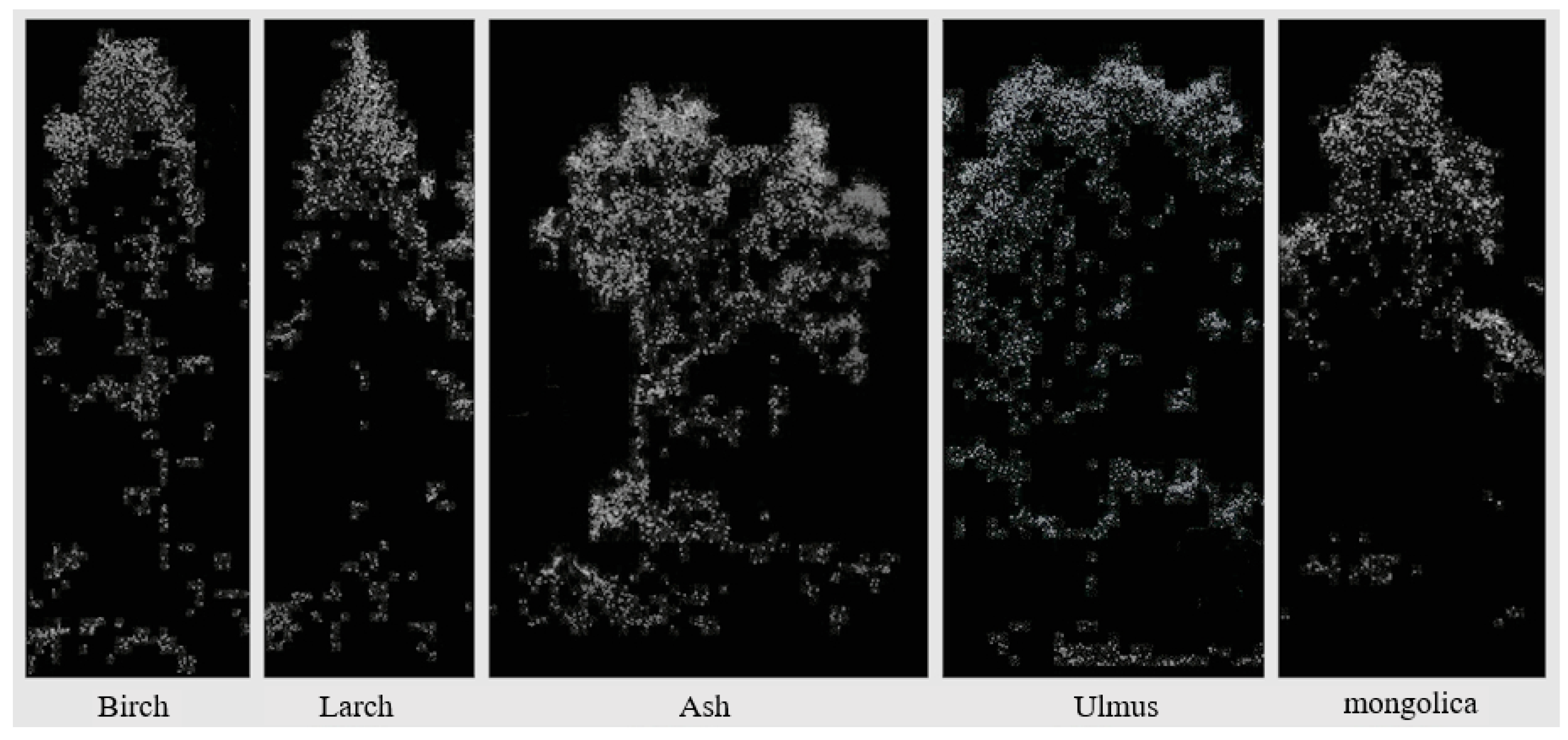Remotesensing 15 01000 g007