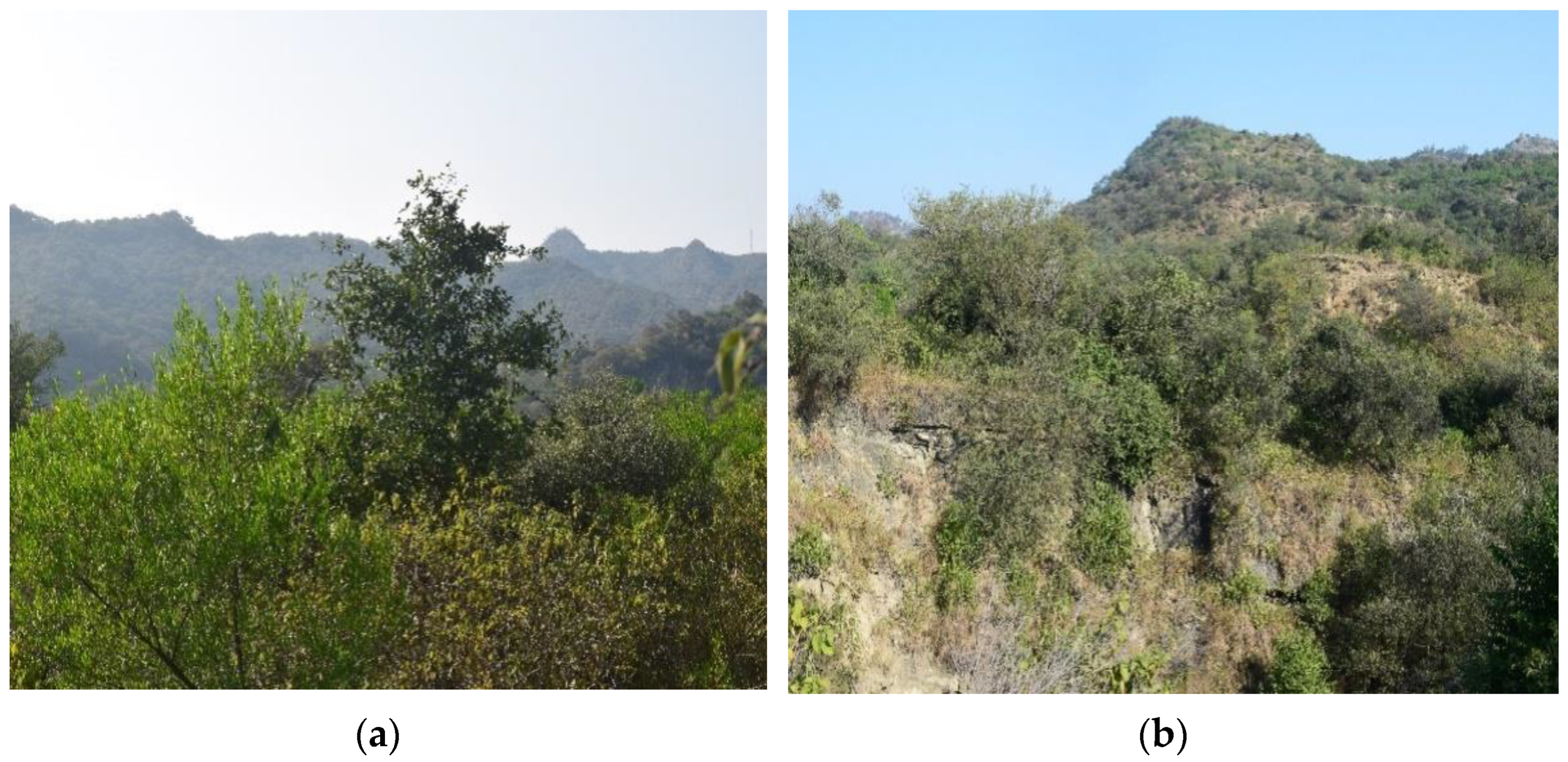 Remotesensing 15 01020 g001