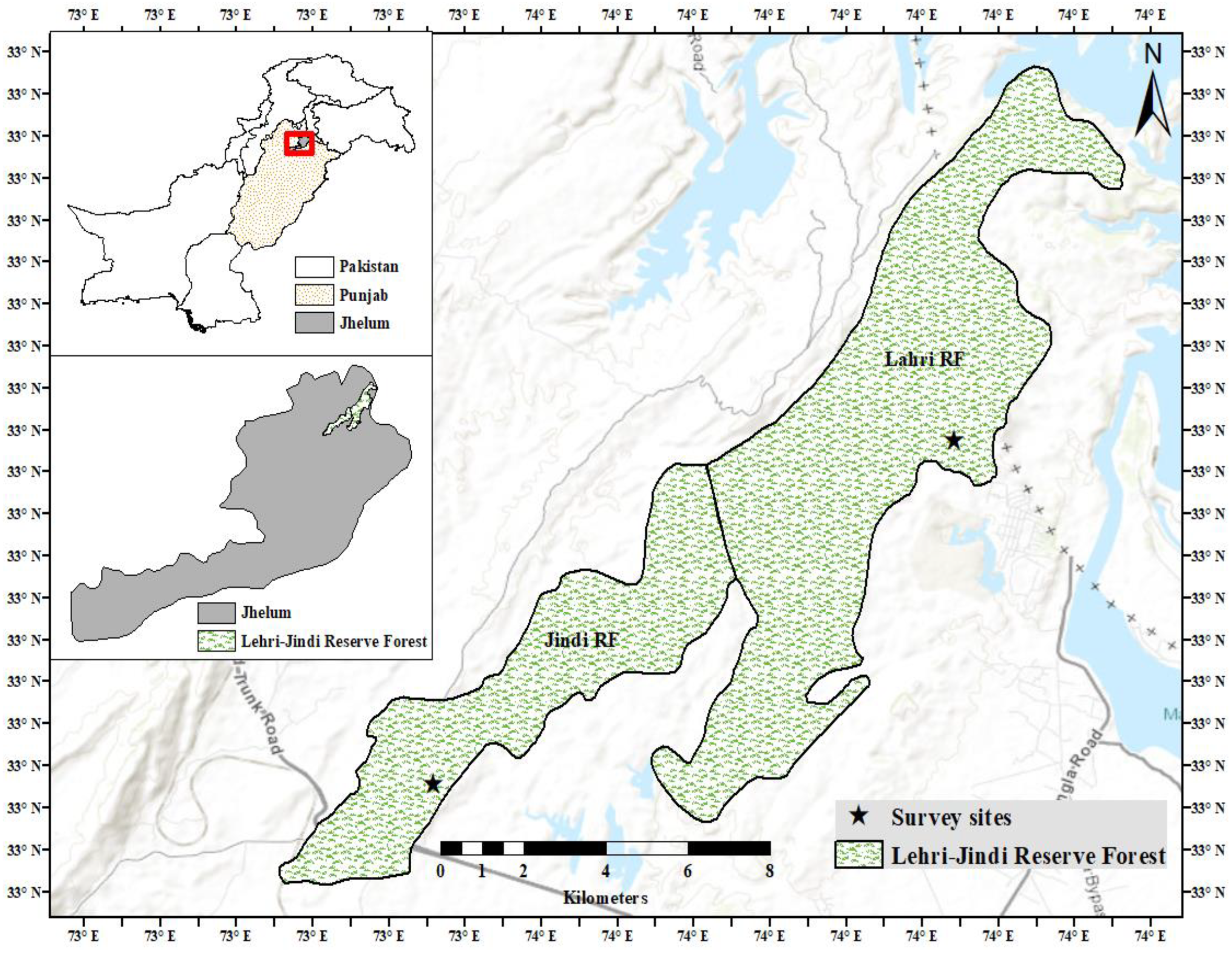Remotesensing 15 01020 g002