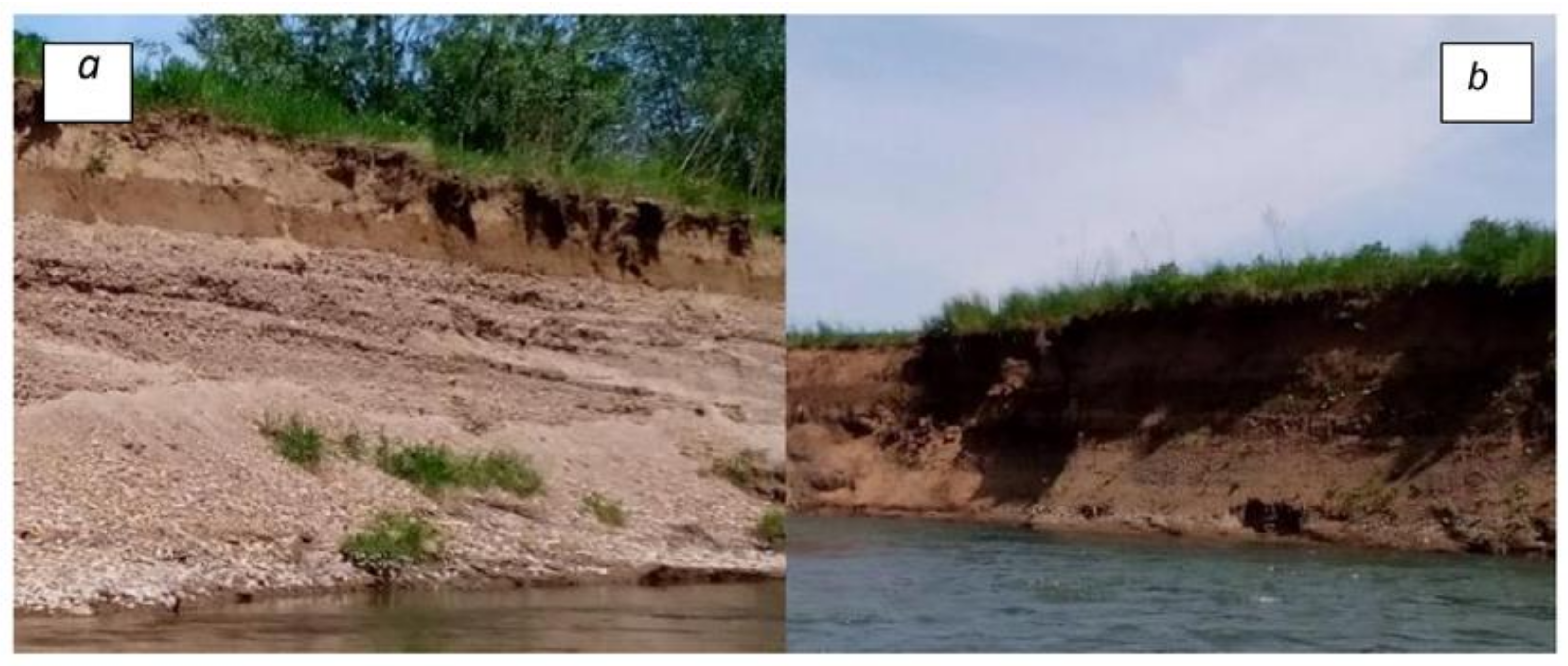 Remotesensing 15 01071 g004 Remotesensing 15 01071 g004