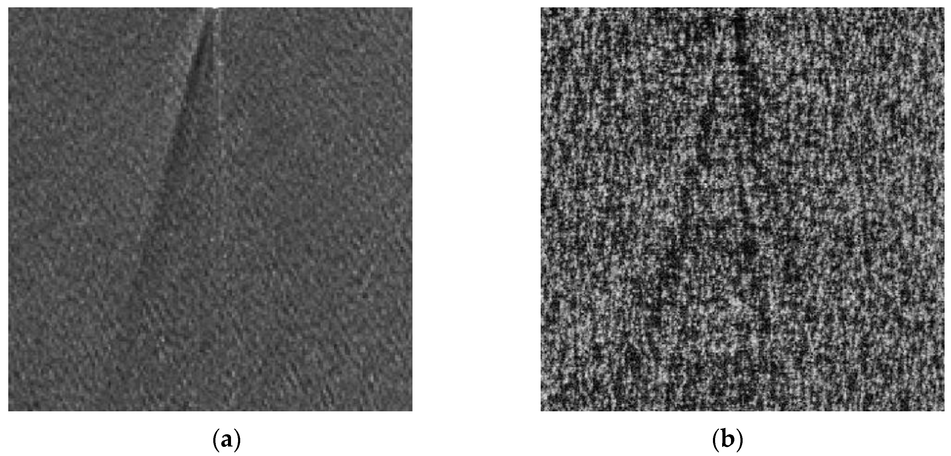 Remotesensing 15 01089 g009