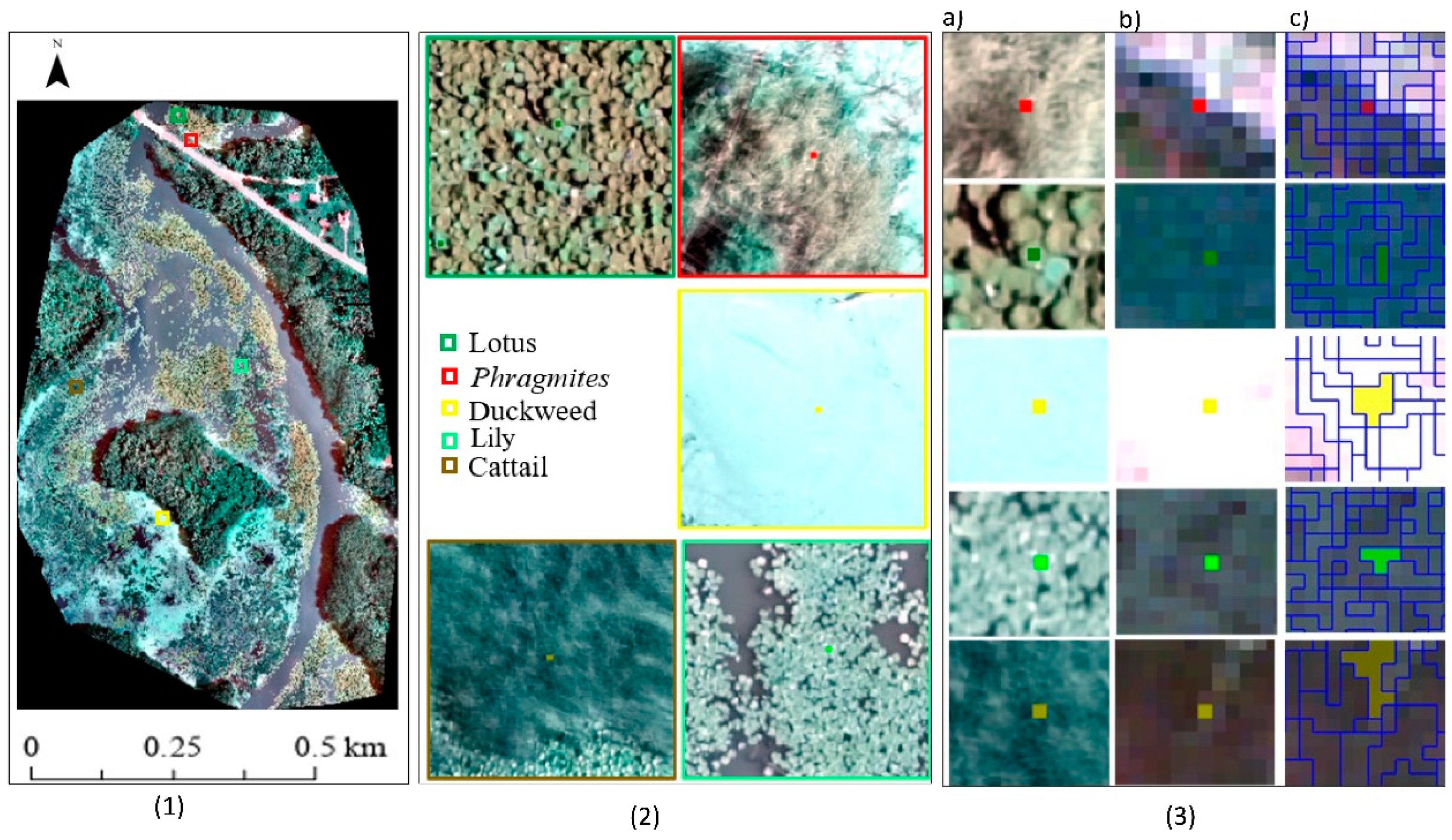 Remotesensing 15 01090 g004 Remotesensing 15 01090 g004
