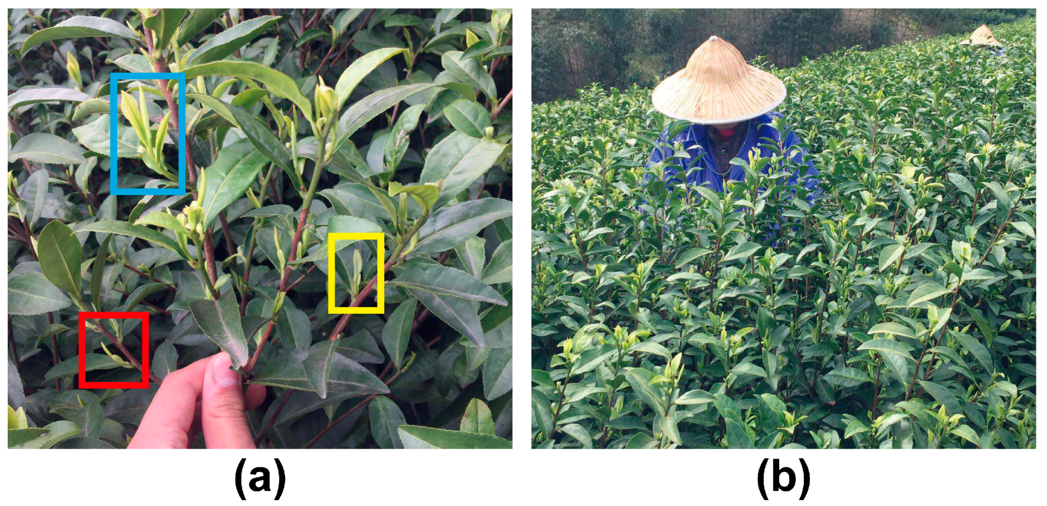 Remotesensing 15 01100 g004 Remotesensing 15 01100 g004