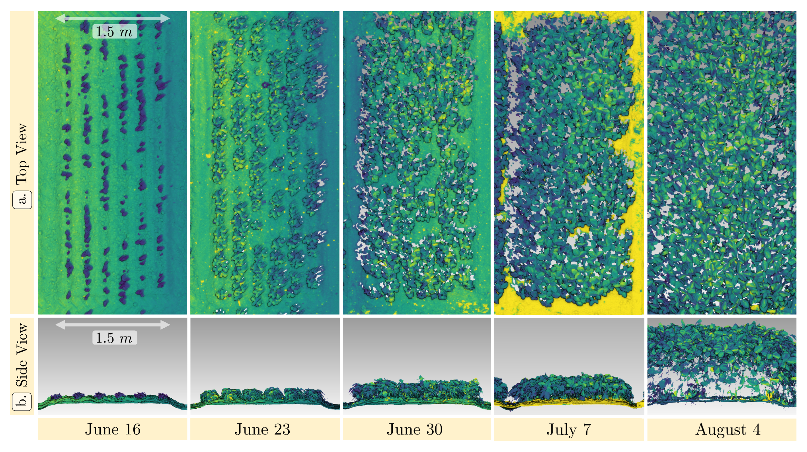 Remotesensing 15 01117 g010