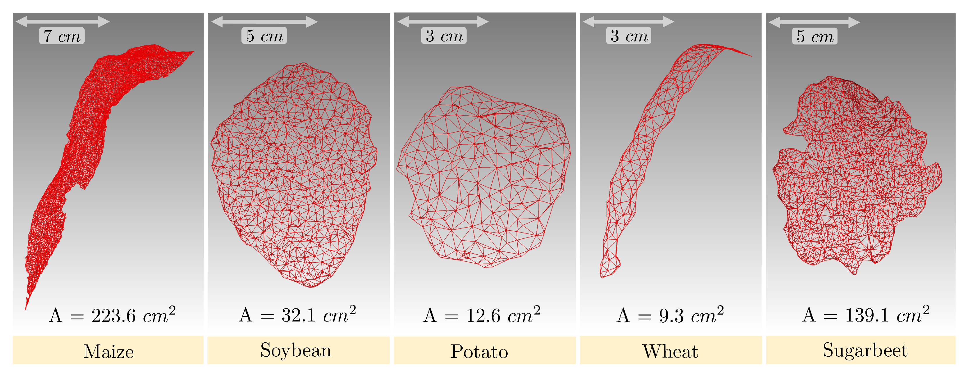 Remotesensing 15 01117 g012