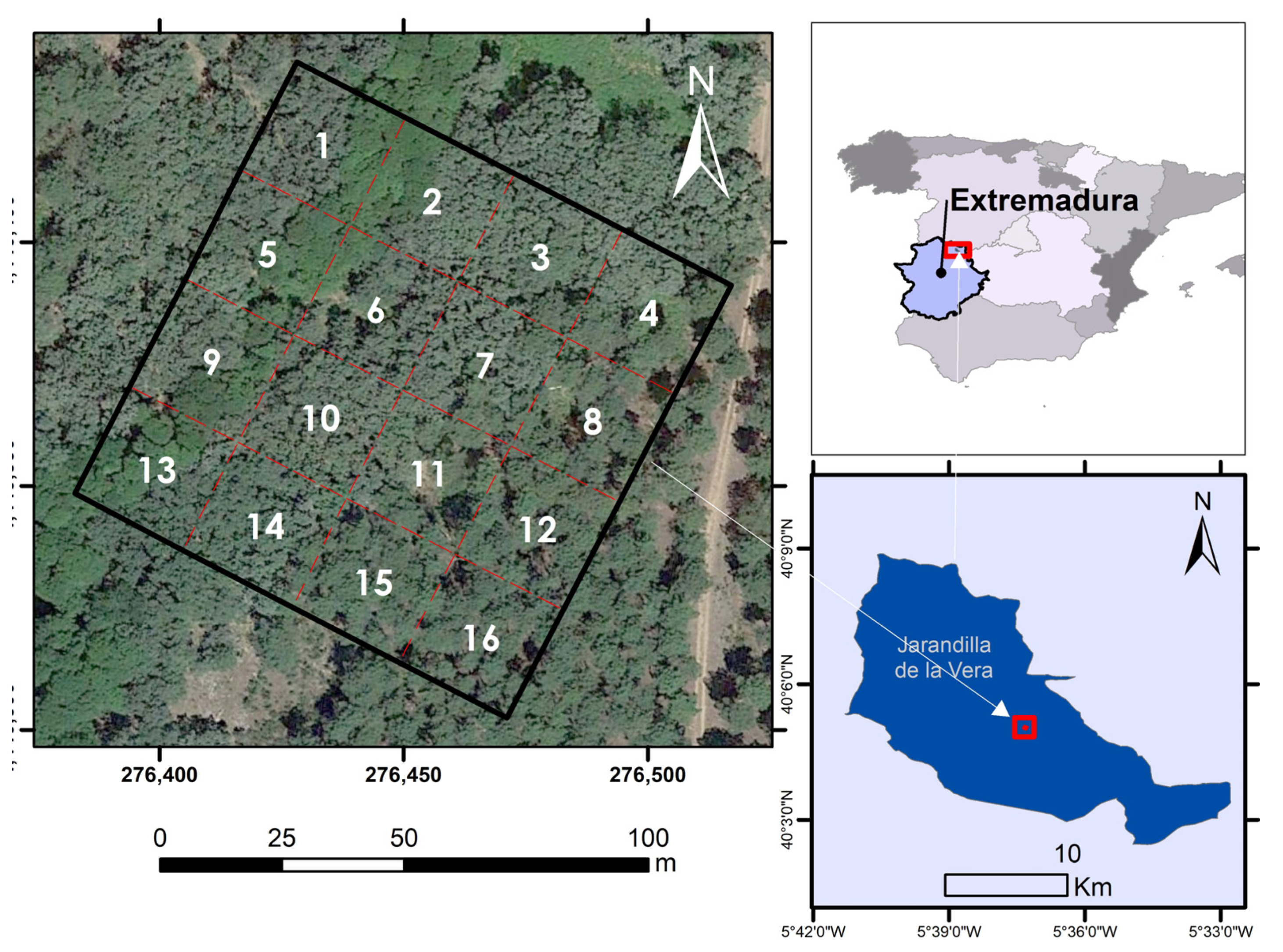 Remotesensing 15 01169 g001