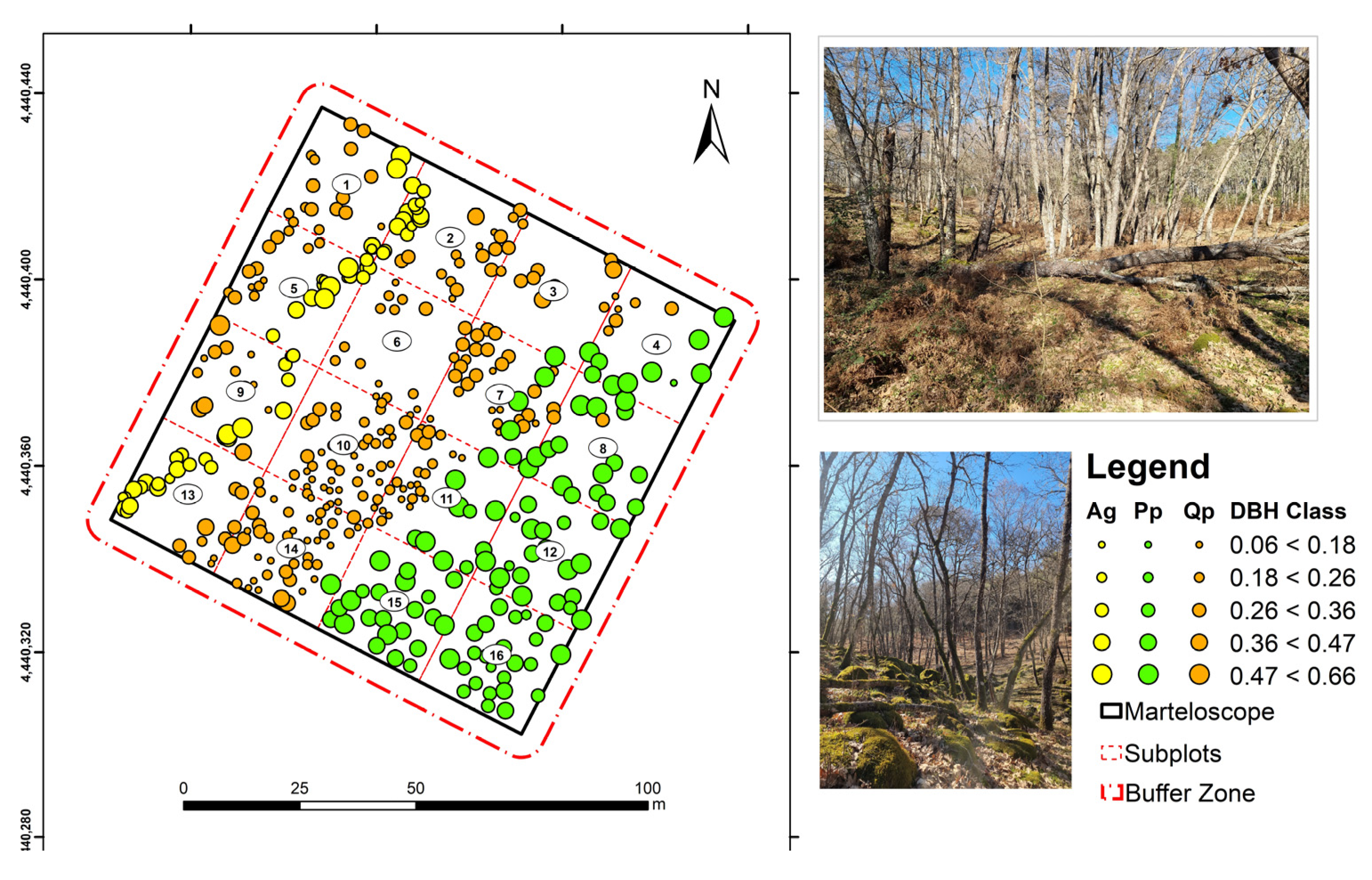 Remotesensing 15 01169 g002