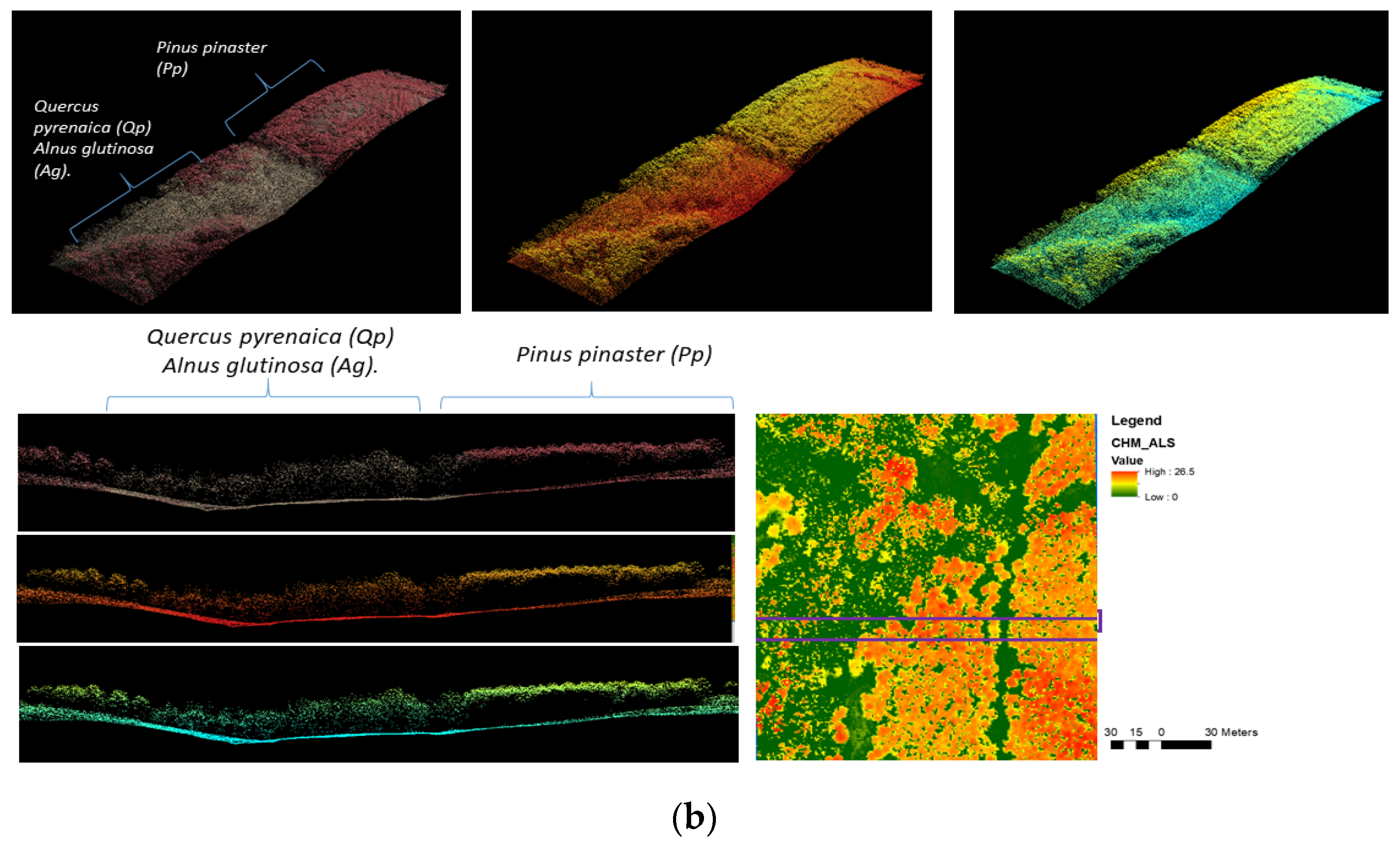 Remotesensing 15 01169 g004b