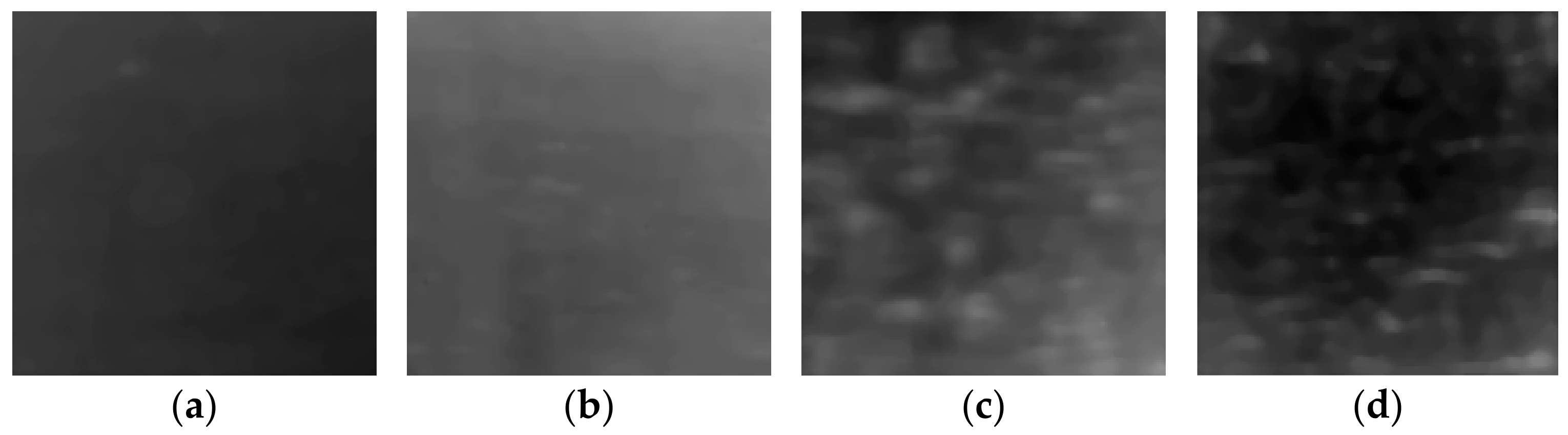 Remotesensing 15 01258 g011