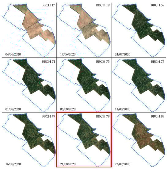 Remotesensing 15 01281 g0a1 Remotesensing 15 01281 g0a1