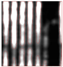 Remotesensing 15 01309 i017