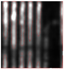 Remotesensing 15 01309 i025