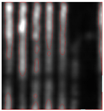 Remotesensing 15 01309 i027