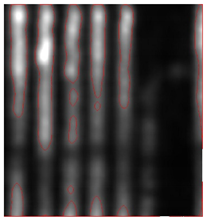 Remotesensing 15 01309 i029