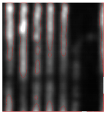 Remotesensing 15 01309 i043