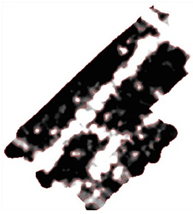 Remotesensing 15 01309 i046