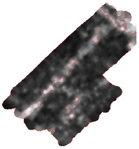 Remotesensing 15 01309 i060