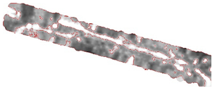 Remotesensing 15 01309 i063