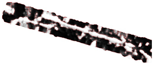 Remotesensing 15 01309 i069