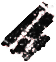 Remotesensing 15 01309 i070