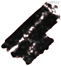 Remotesensing 15 01309 i074