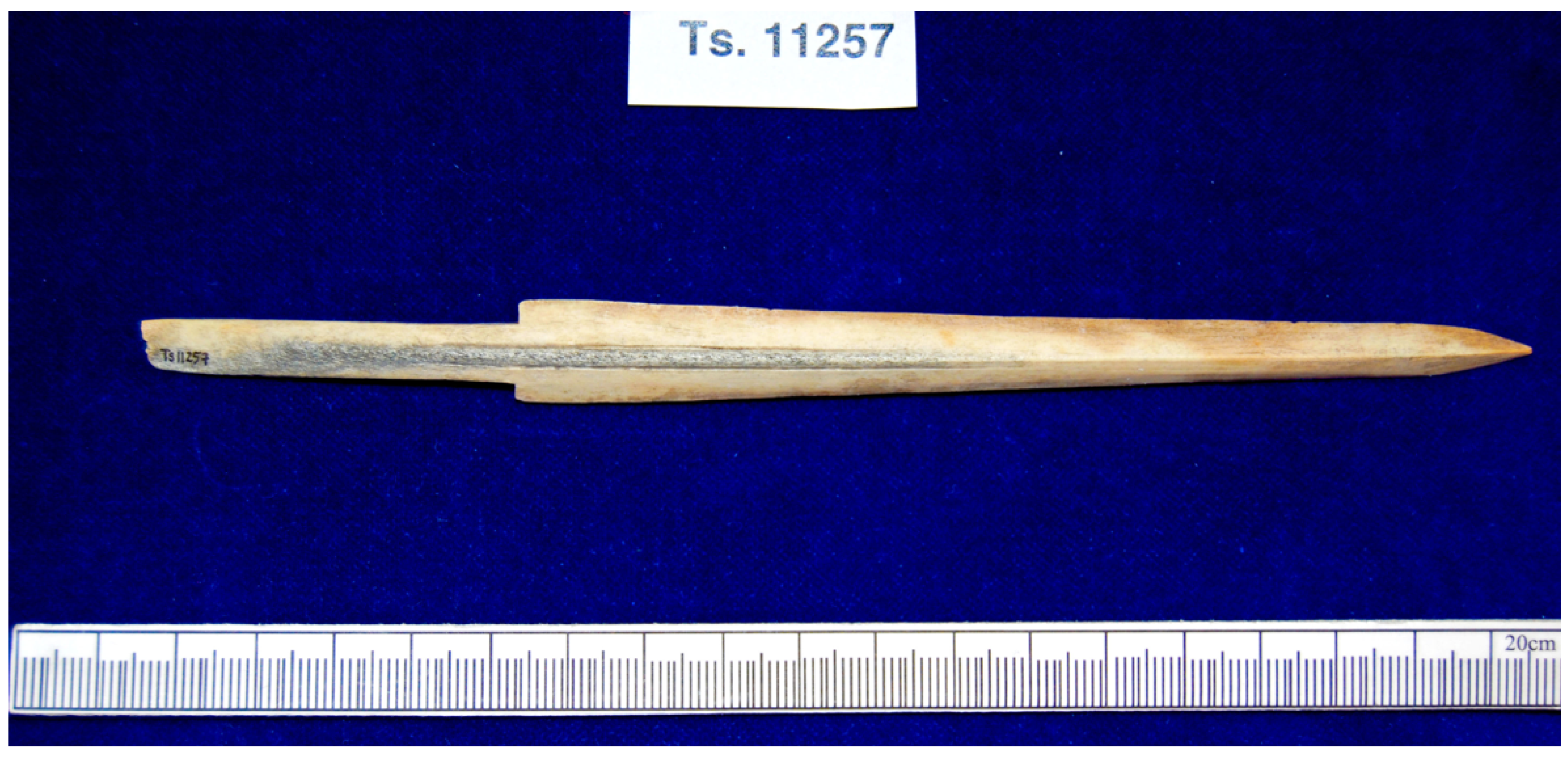 Remotesensing 15 01336 g002