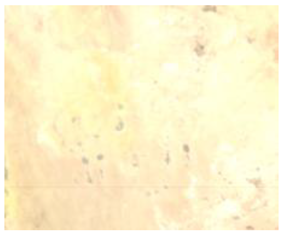 Remotesensing 15 01368 i002