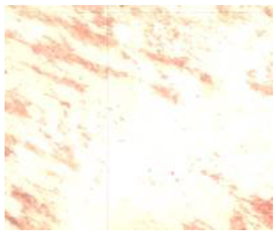 Remotesensing 15 01368 i004