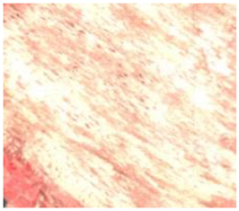 Remotesensing 15 01368 i006