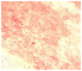 Remotesensing 15 01368 i008