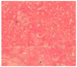 Remotesensing 15 01368 i010