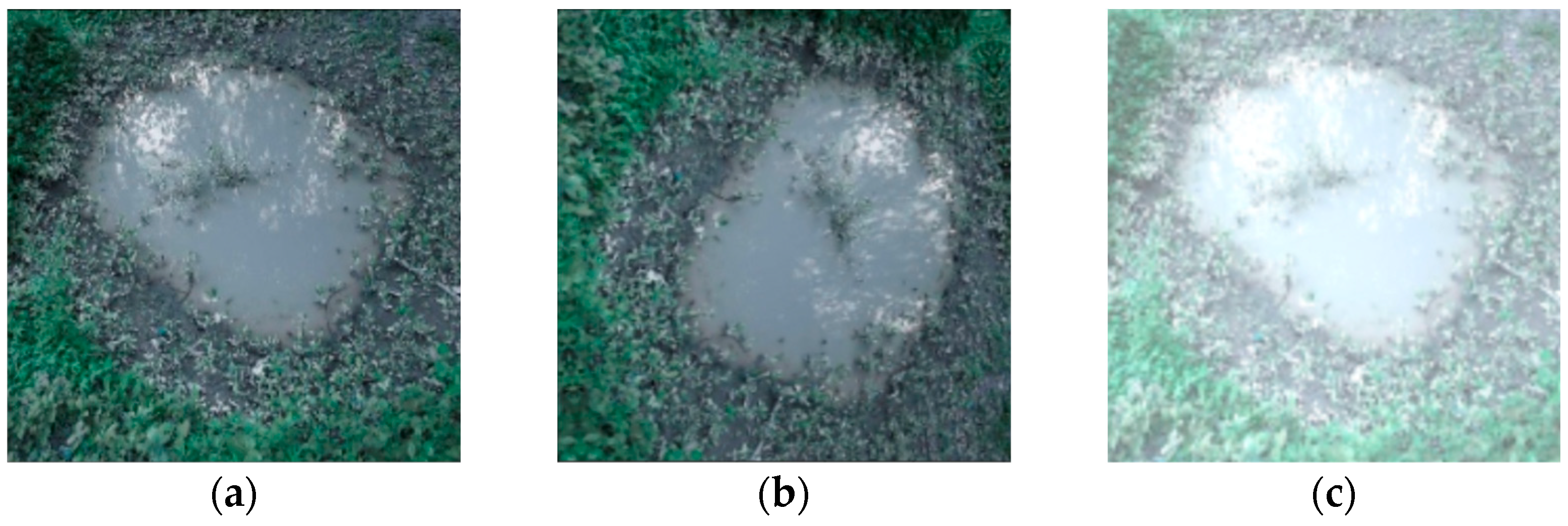 Remotesensing 15 01384 g007