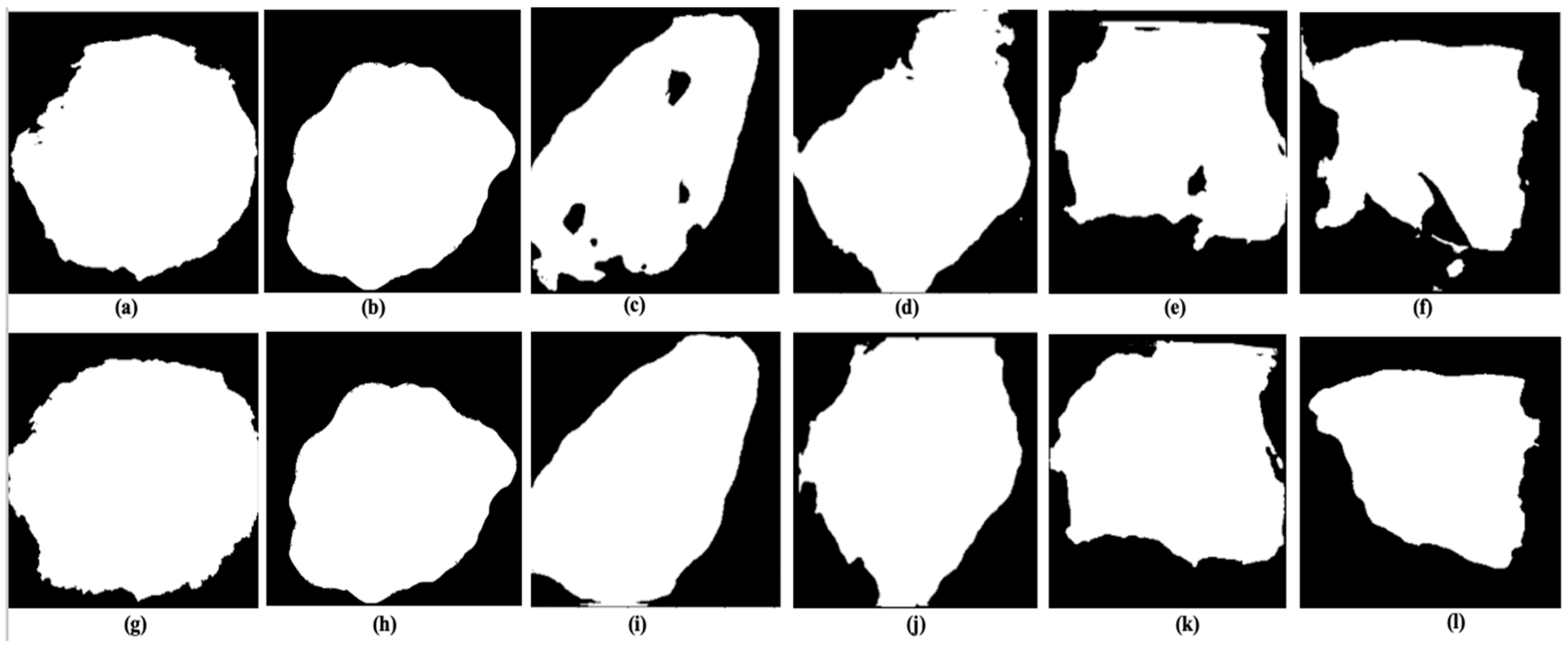 Remotesensing 15 01384 g012