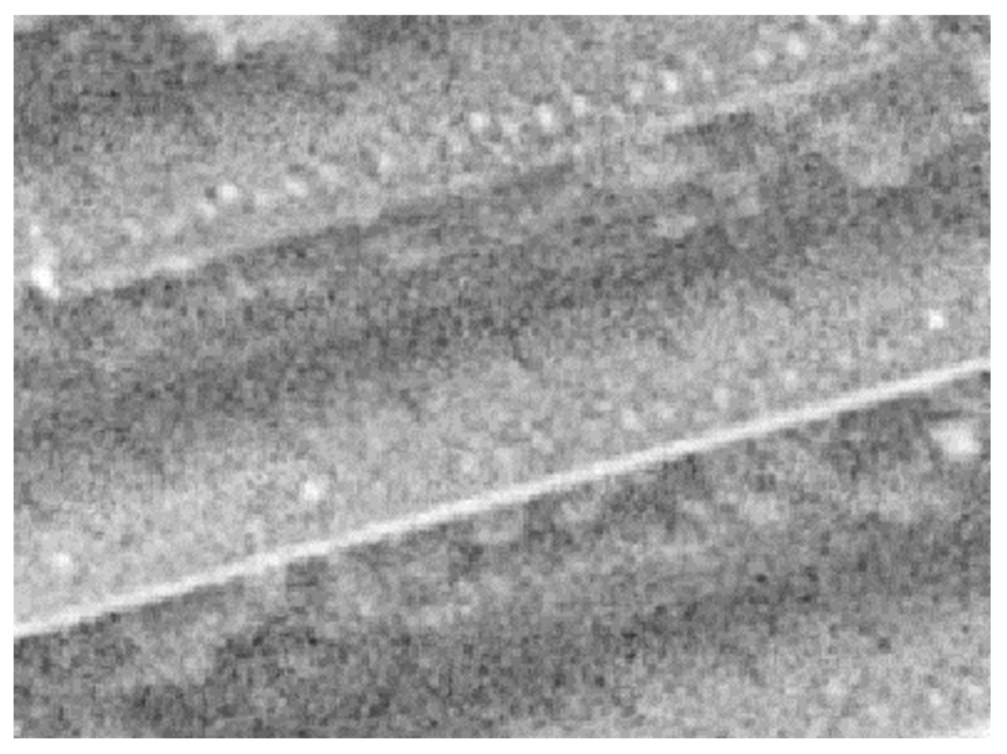 Remotesensing 15 01414 g006 Remotesensing 15 01414 g006