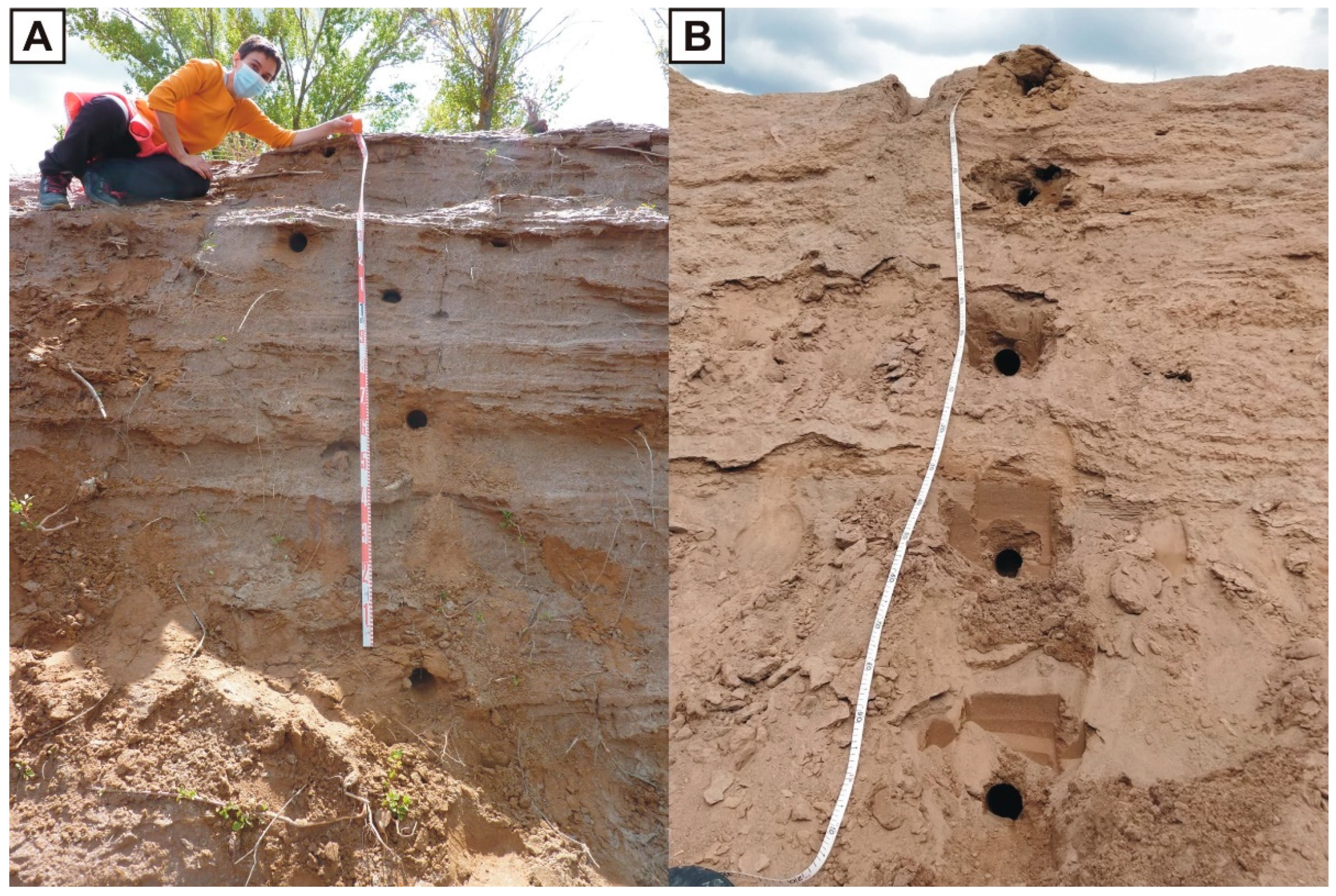 Remotesensing 15 01423 g003 Remotesensing 15 01423 g003