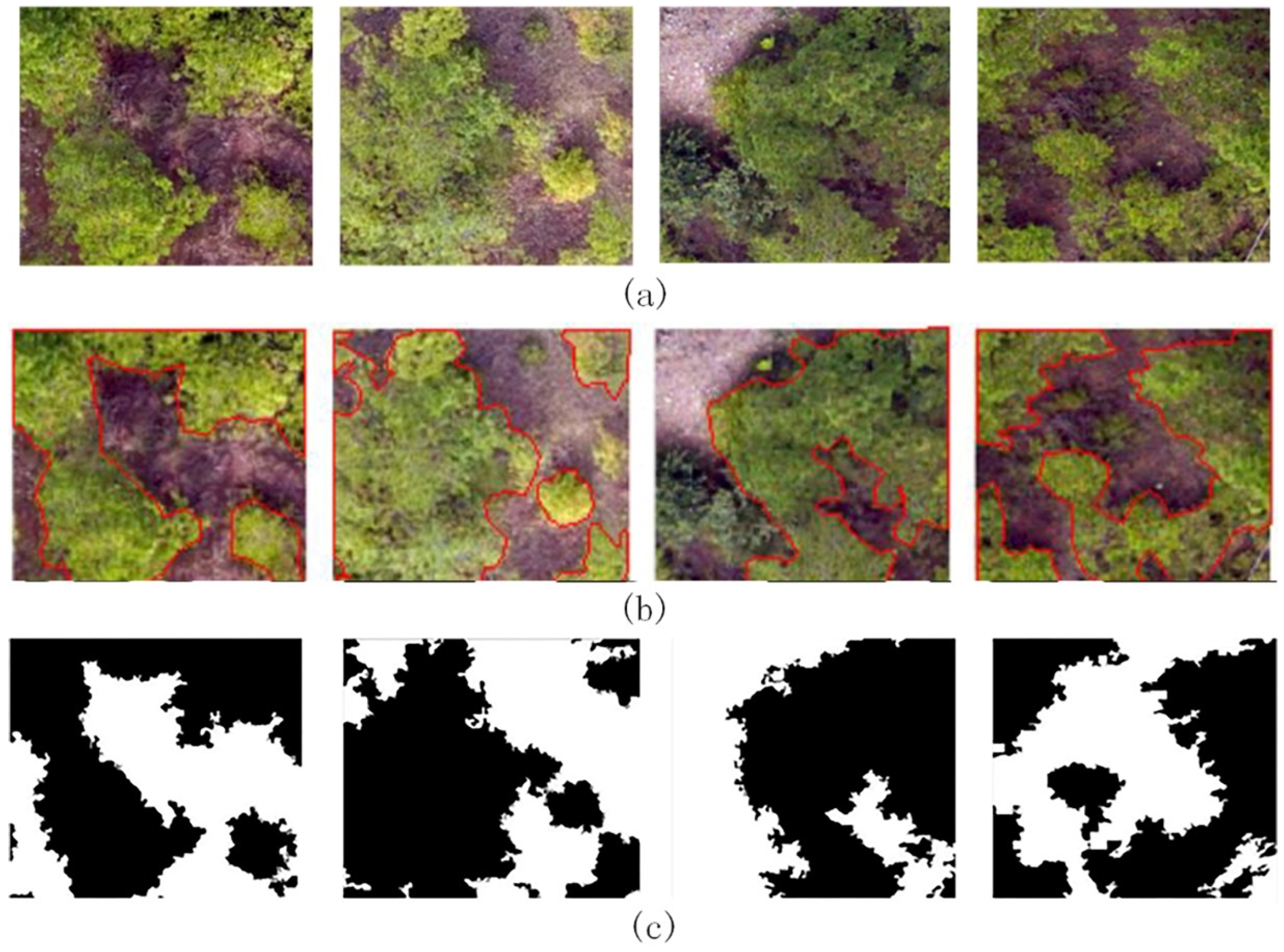 Remotesensing 15 01470 g011