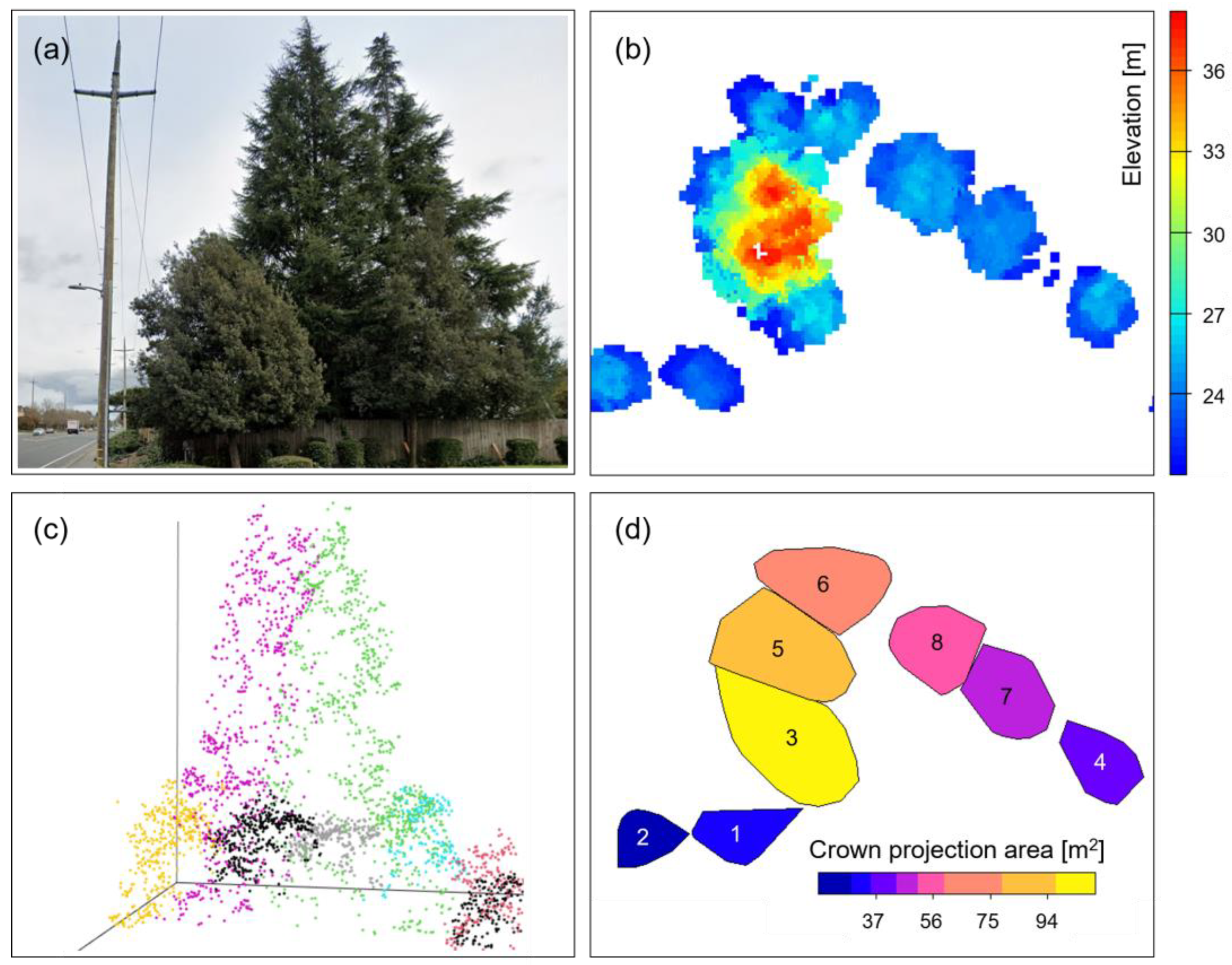 Remotesensing 15 01485 g004