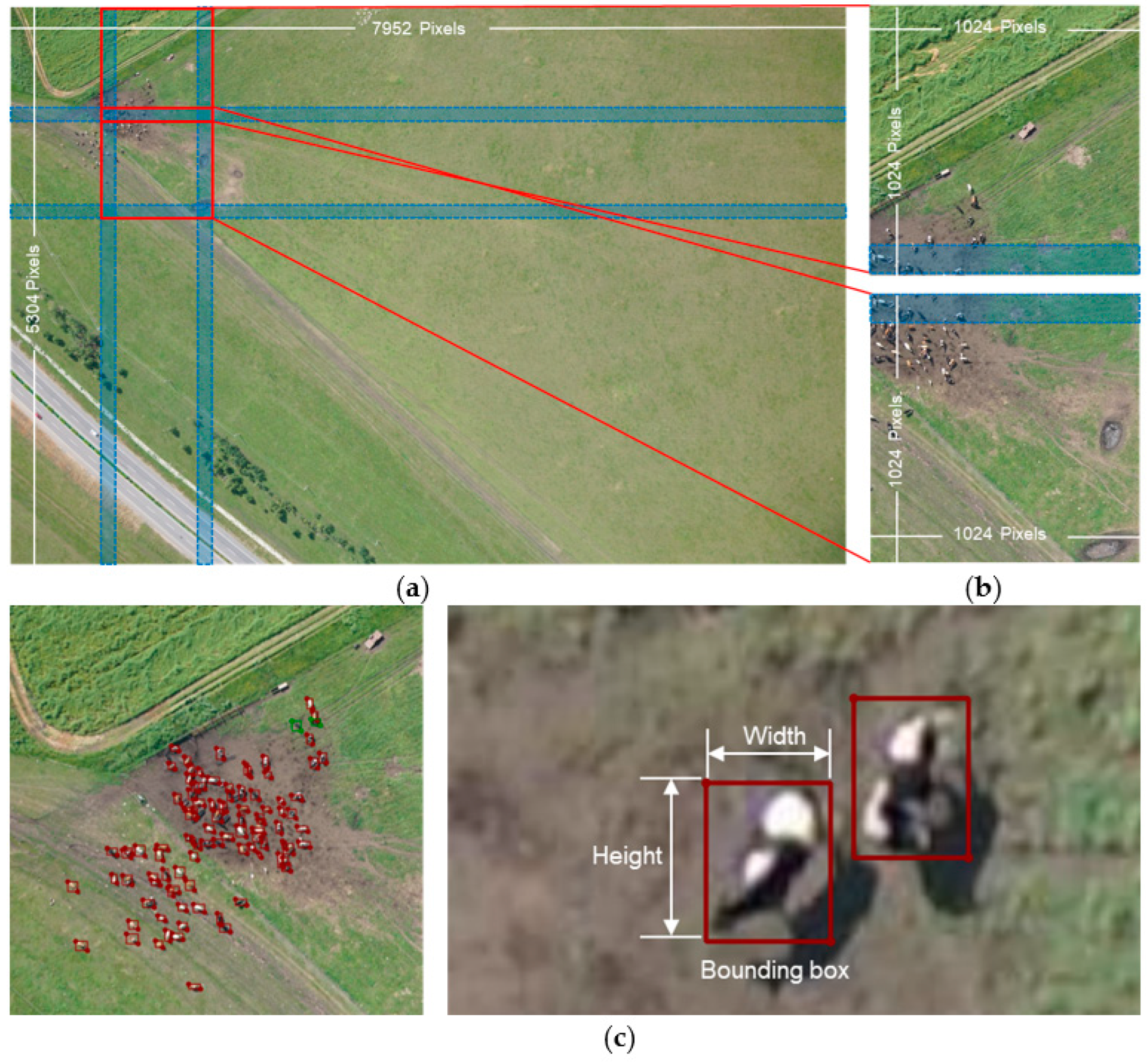 Remotesensing 15 01593 g002