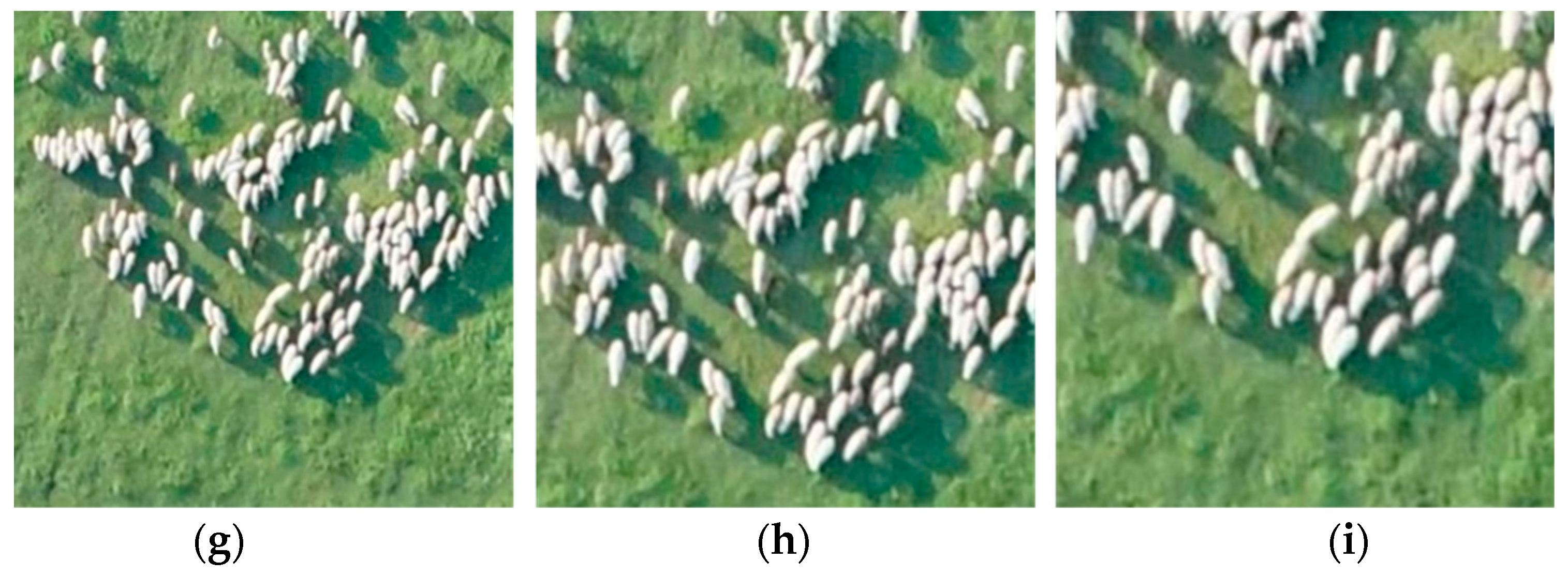 Remotesensing 15 01593 g006b