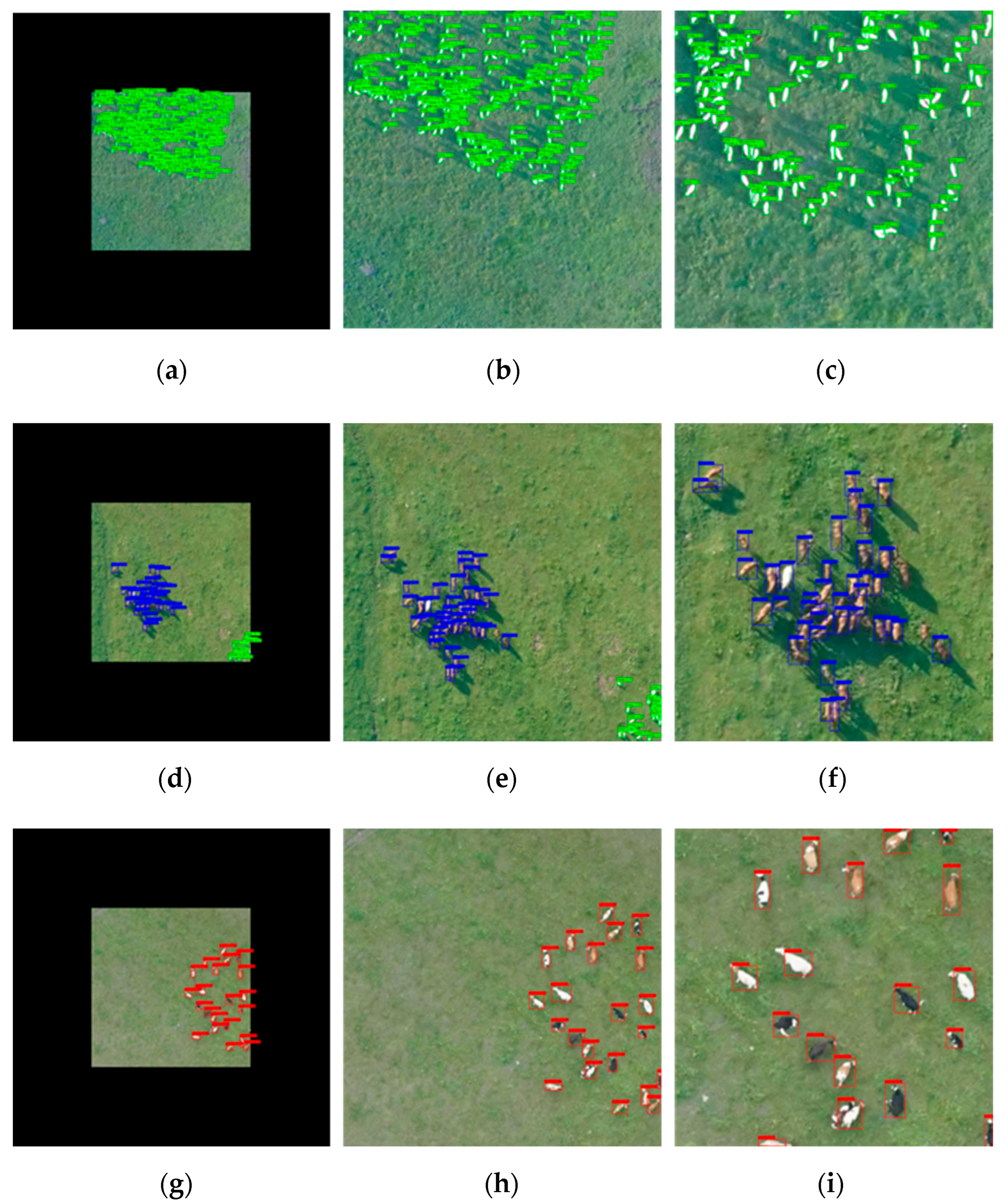 Remotesensing 15 01593 g015