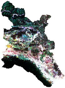 Remotesensing 15 01645 i039