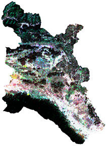 Remotesensing 15 01645 i040