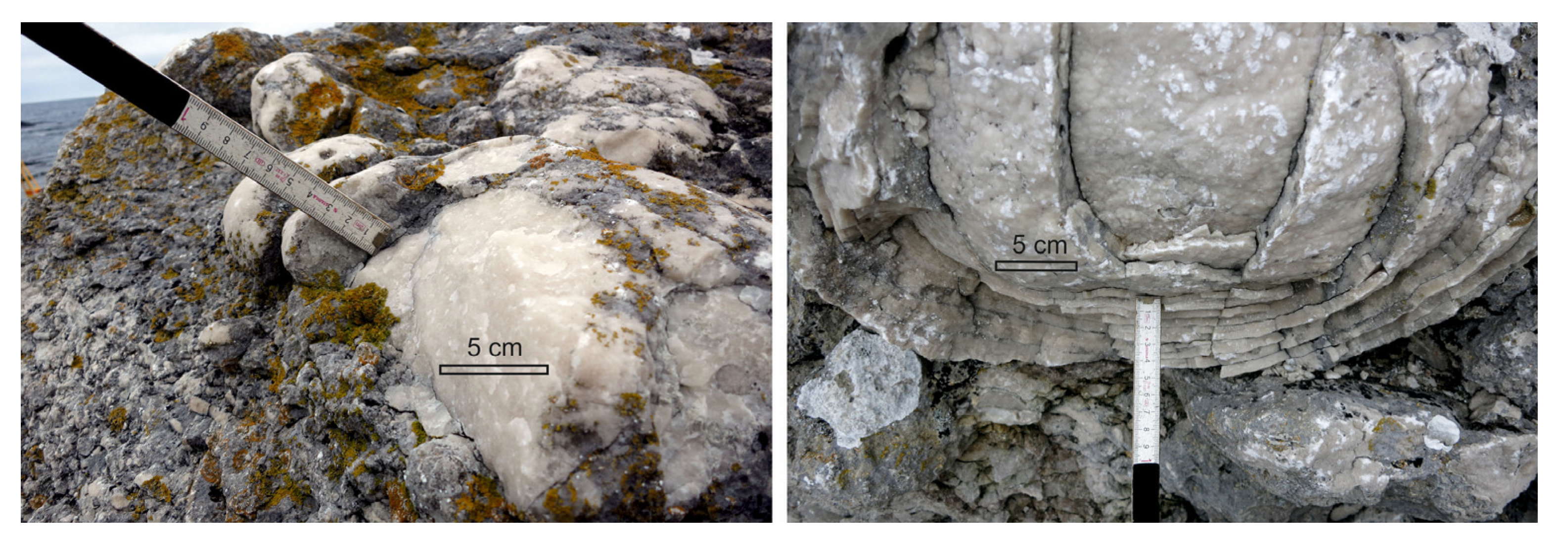 Remotesensing 15 01667 g006 Remotesensing 15 01667 g006