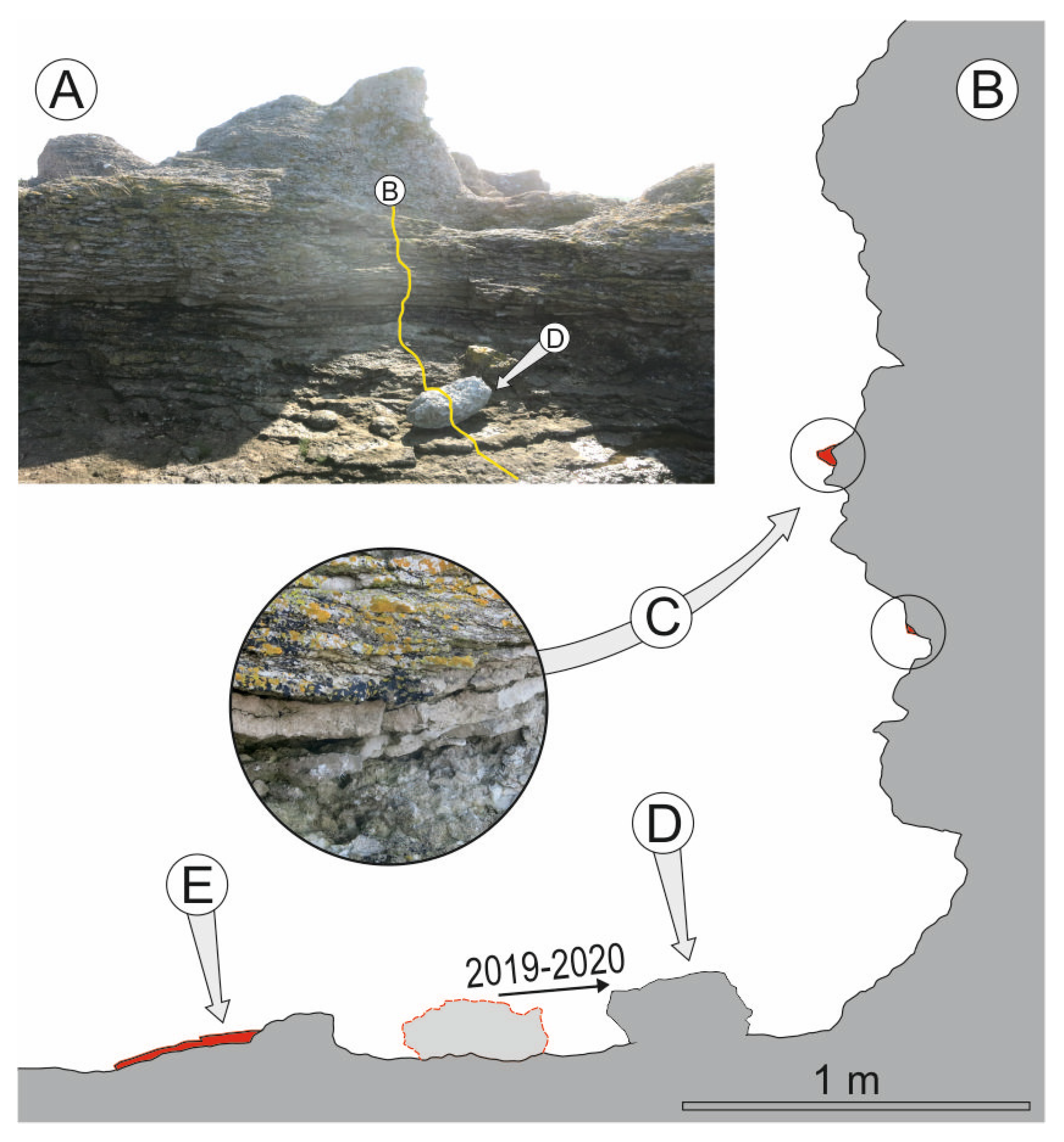 Remotesensing 15 01667 g007 Remotesensing 15 01667 g007
