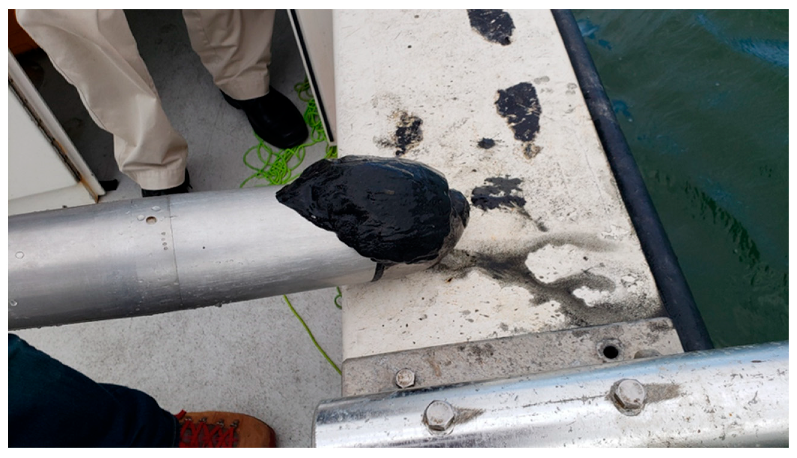 Remotesensing 15 01685 g004