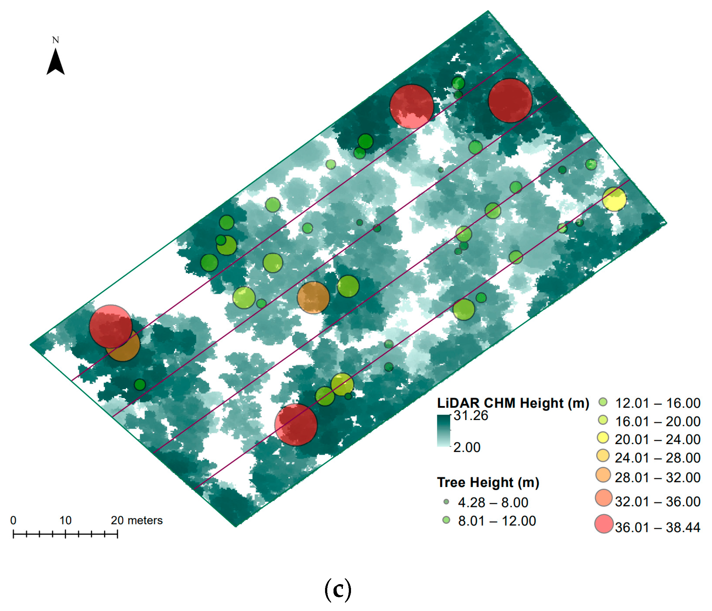 Remotesensing 15 01694 g011b