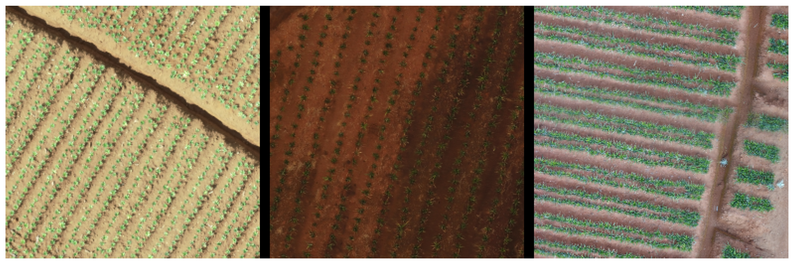 Remotesensing 15 01700 g001 Remotesensing 15 01700 g001