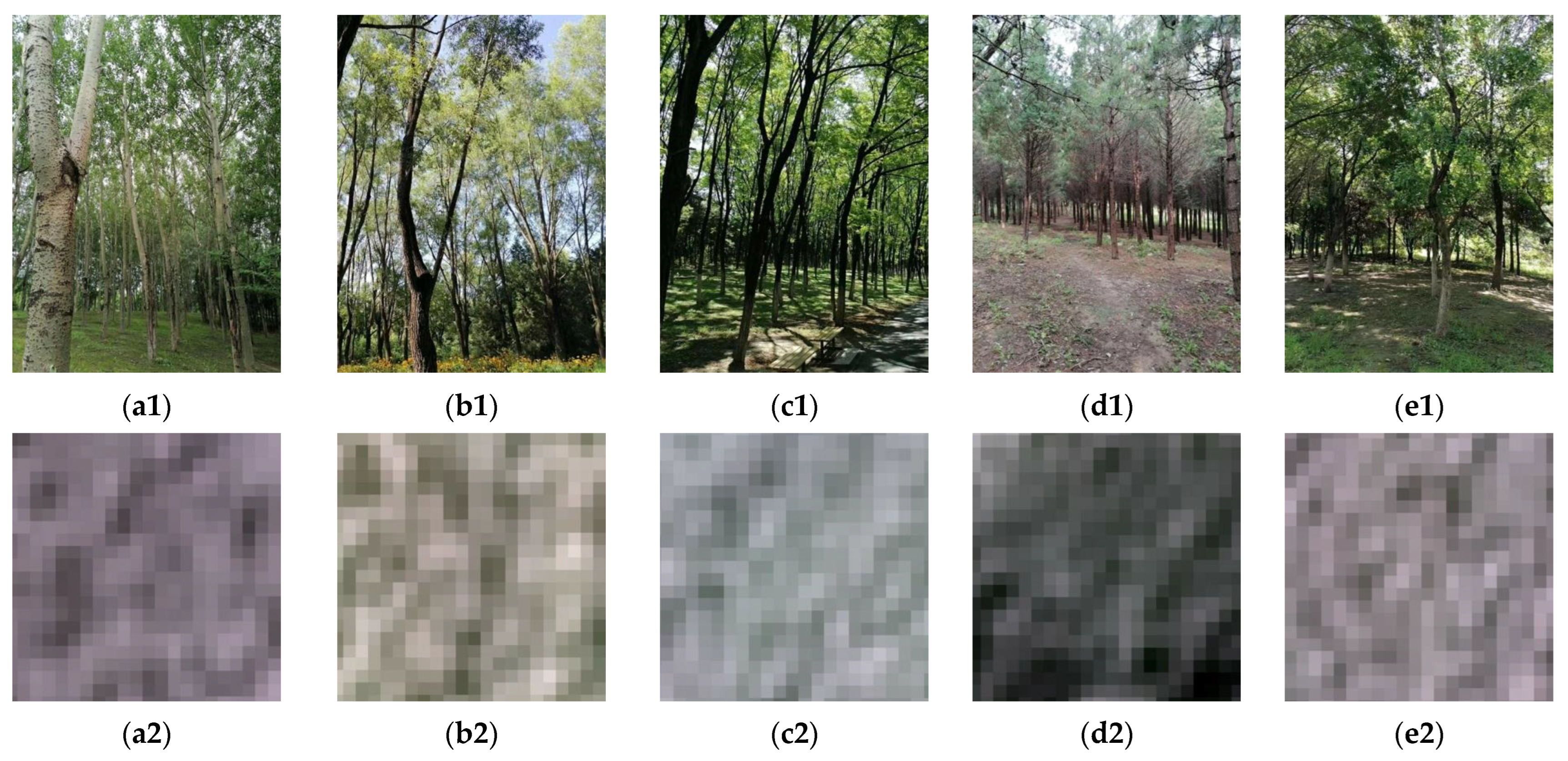 Remotesensing 15 01723 g002