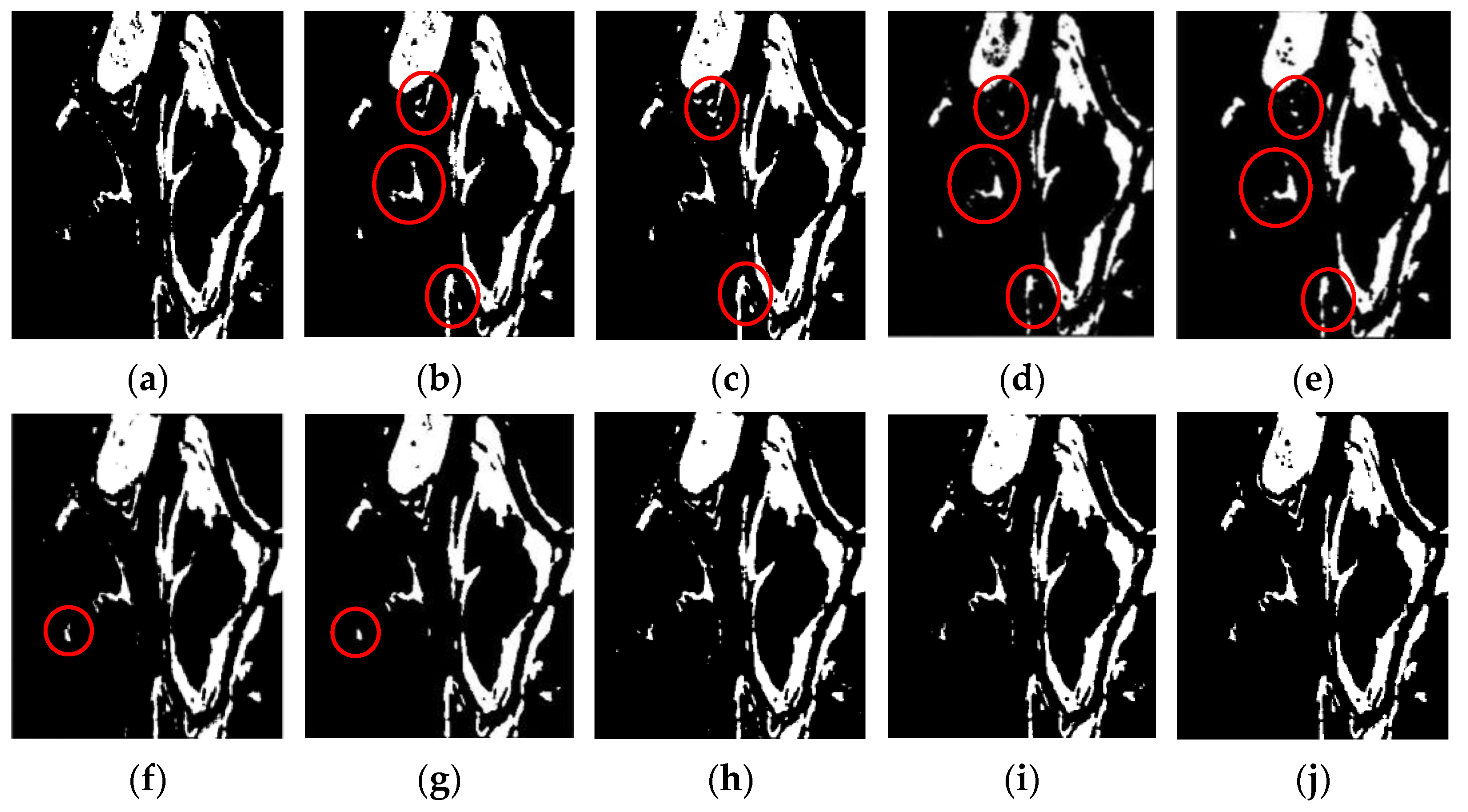 Remotesensing 15 01724 g016